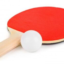 TABLE TENNIS GAME SET - КОМПЛЕКТ ЗА ТЕНИС НА МАСА ЗА ФИТНЕС АНИМАТОРИ